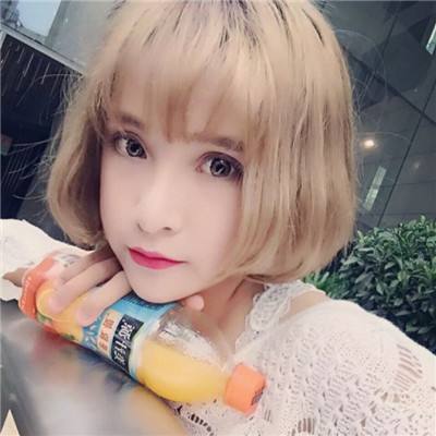 梦幻城镇破解版下载
